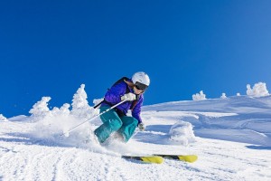 开云官网-狼嚎未绝，狐影已至，福克斯关键节点连斩灰熊，改写西北区格局