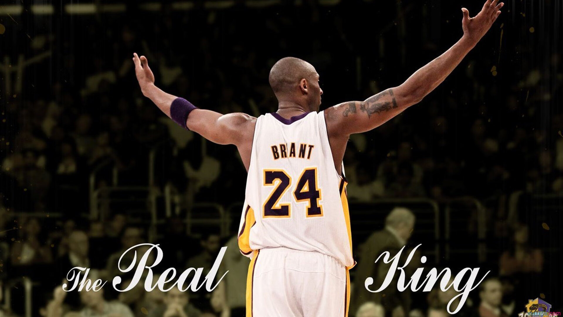 世界排名争夺战之夜，恩佐，那个在数据洪流中逆行的古典灵魂